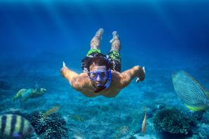 Coral Dive